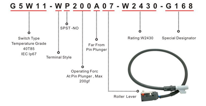 G5W11-WP200A07-W2430-G168 micro switch item G5W11-WP200A07-W2430-G168 micro switch item