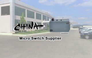 2 Ways To AnalyseThe Micro Switch Supplier in China 10 china micro switch supplier 2